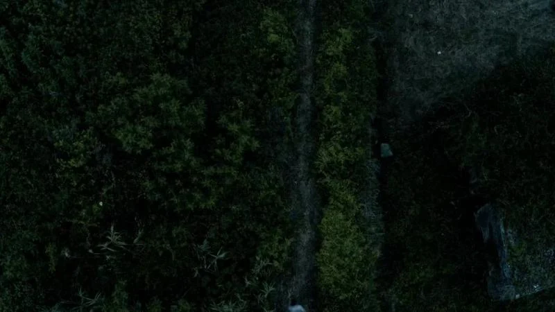 Кадры из сериала Проповедник (2016)